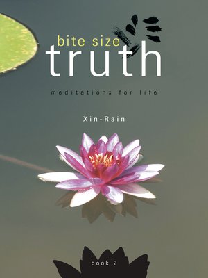 cover image of Bite Size Truth